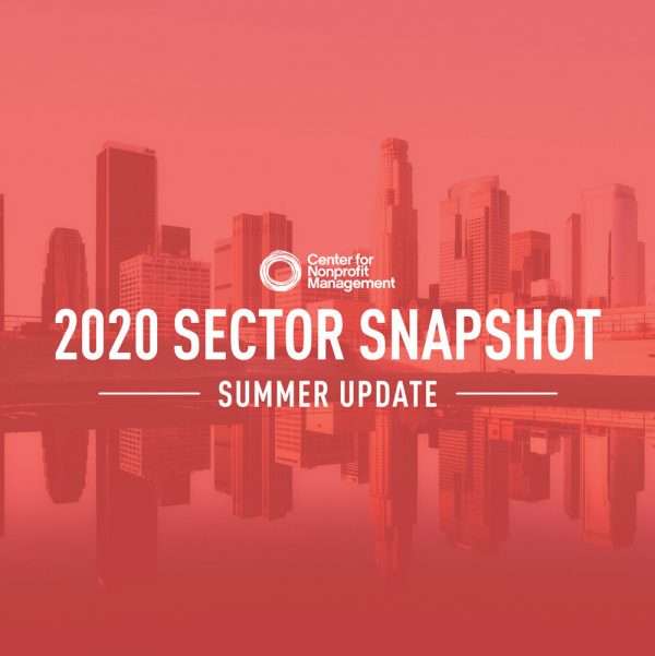 2020 sector snapshot summer update Studies and Snapshots