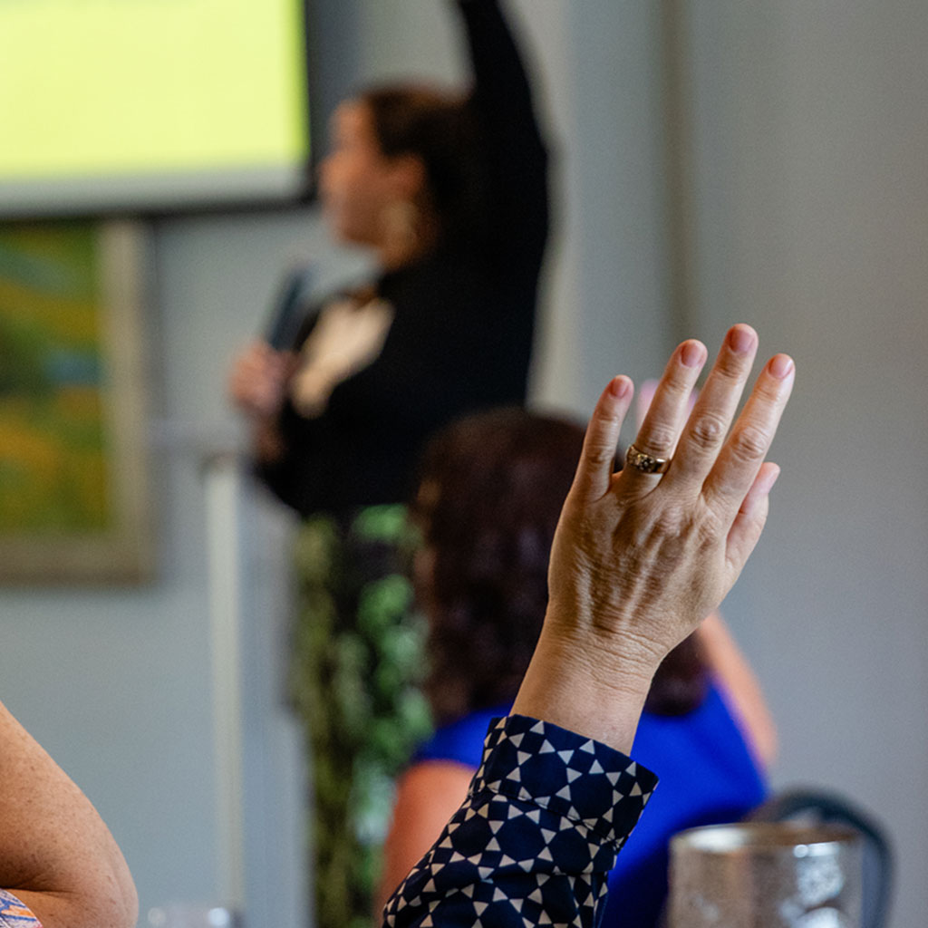 programs and services Programs & Services